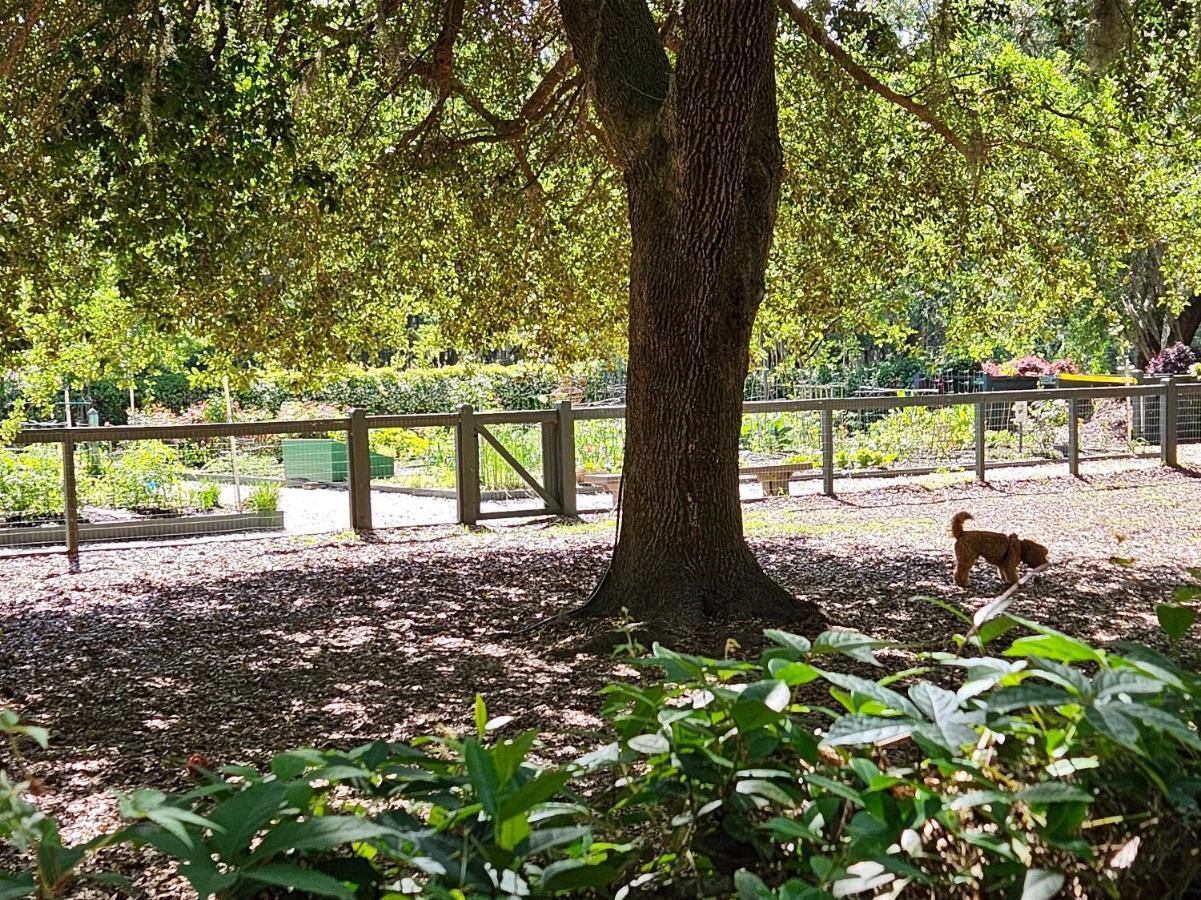 Low Country Cottage In Beautiful Habersham Beaufort Eksteriør billede