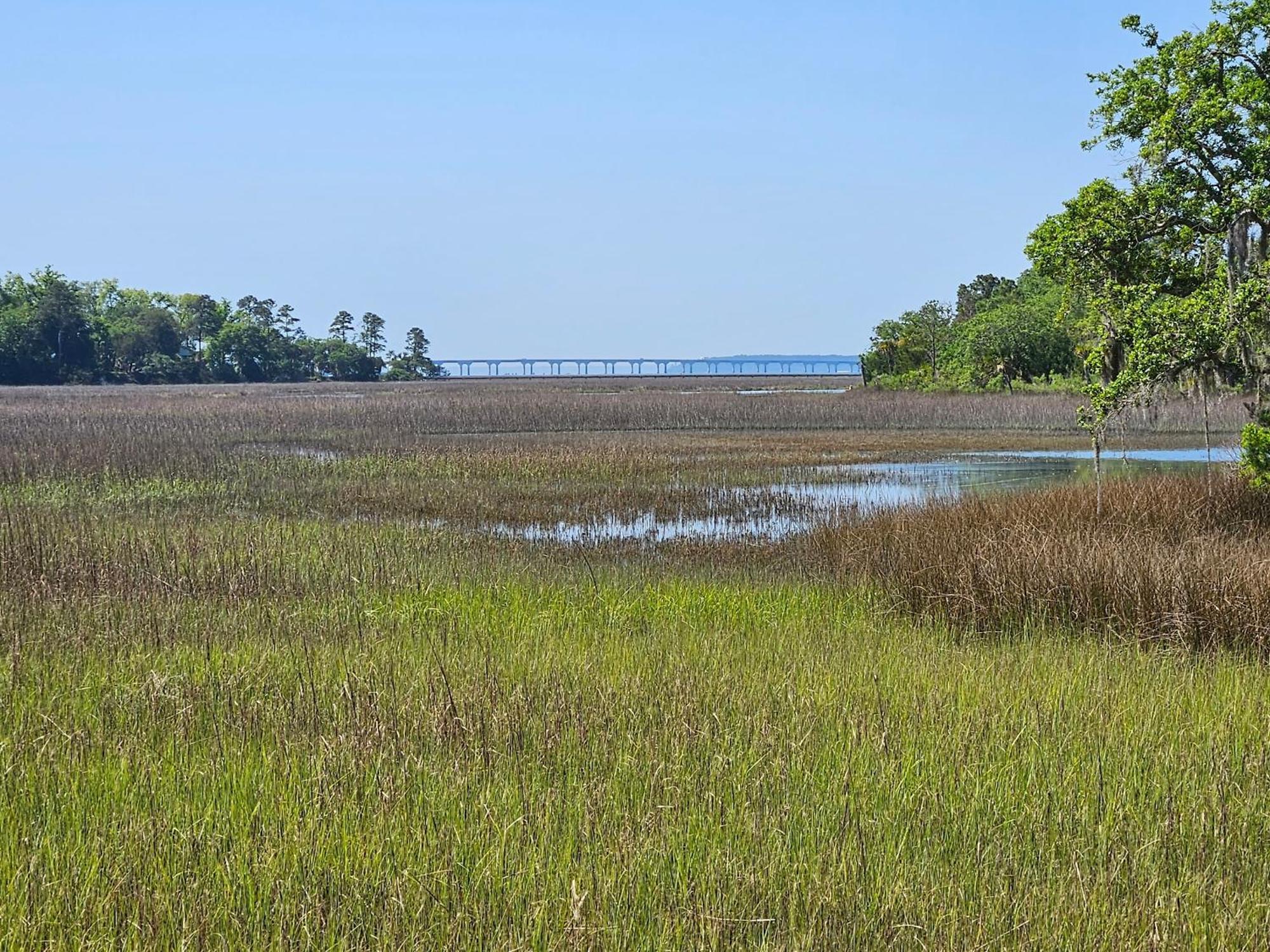 Low Country Cottage In Beautiful Habersham Beaufort Eksteriør billede
