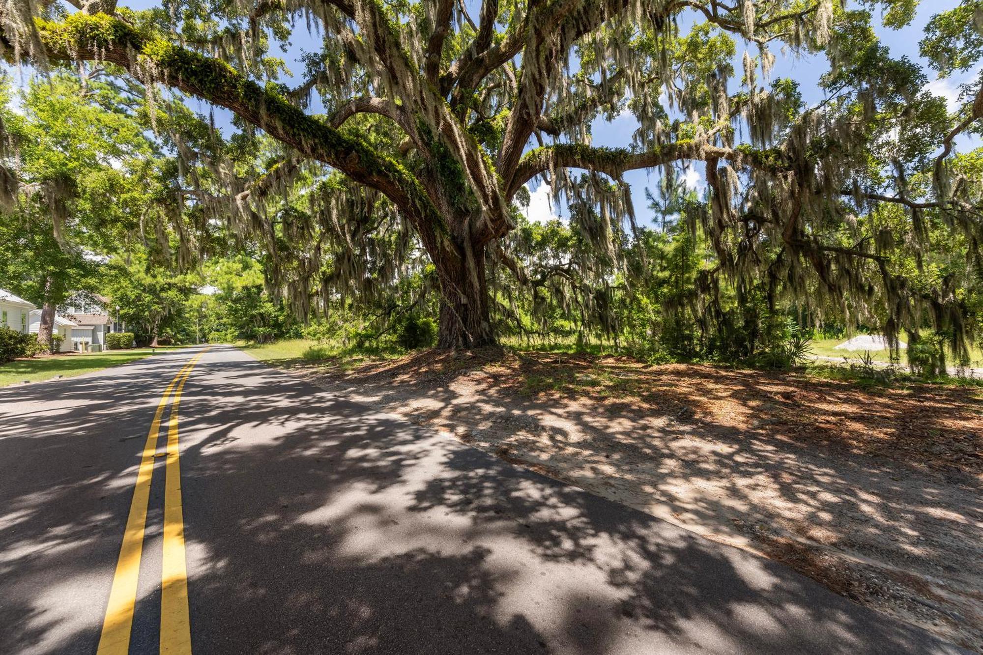 Low Country Cottage In Beautiful Habersham Beaufort Eksteriør billede